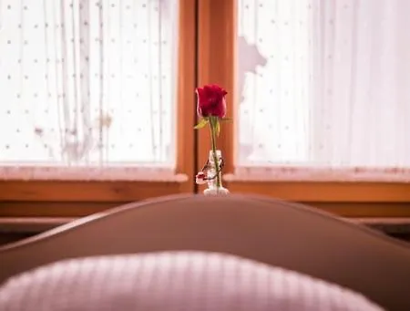 Hotel Belle Vue - das Hotel... 3*